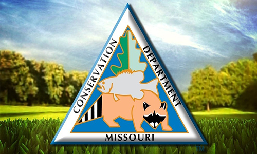 Common Goldeneye  Missouri Department of Conservation