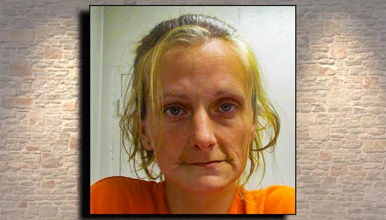 Jennifer Brookshier booking photo